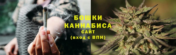 стаф Вязники